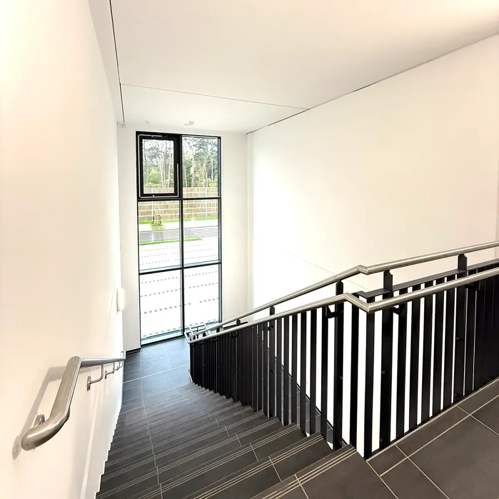 traphan malermeister malerarbeiten paderborn