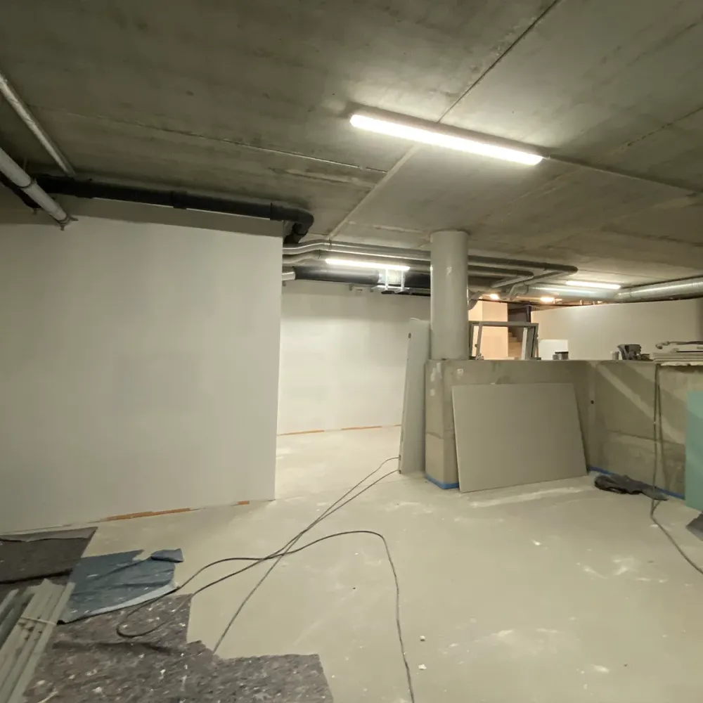 traphan malermeister malerarbeiten paderborn