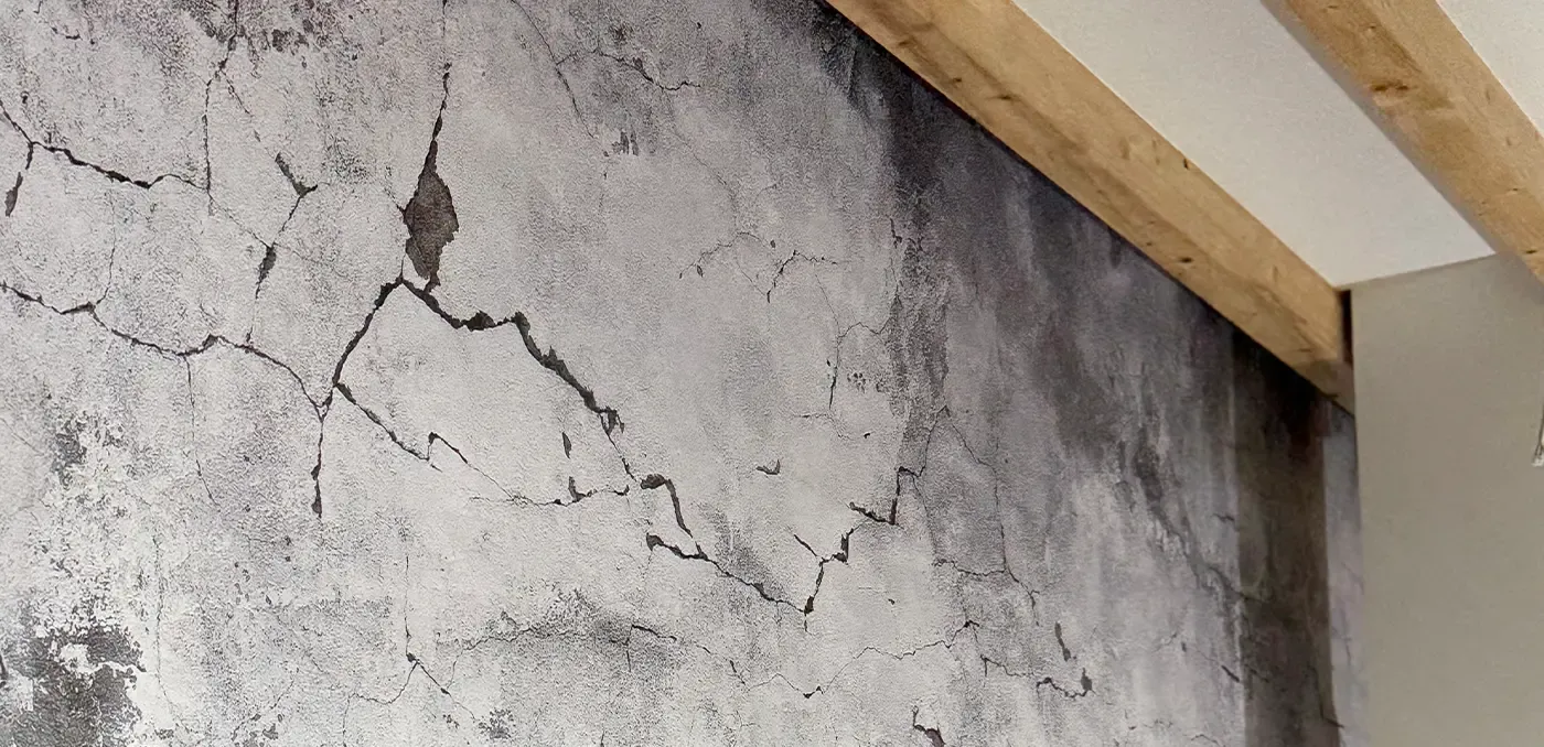 traphan malermeister Kreative Oberflächen paderborn