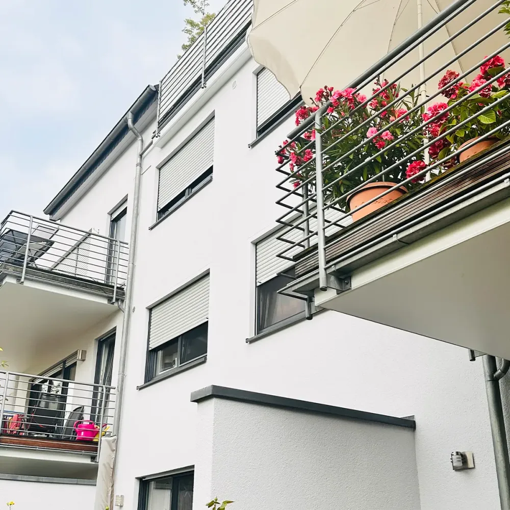 traphan malermeister malerarbeiten paderborn