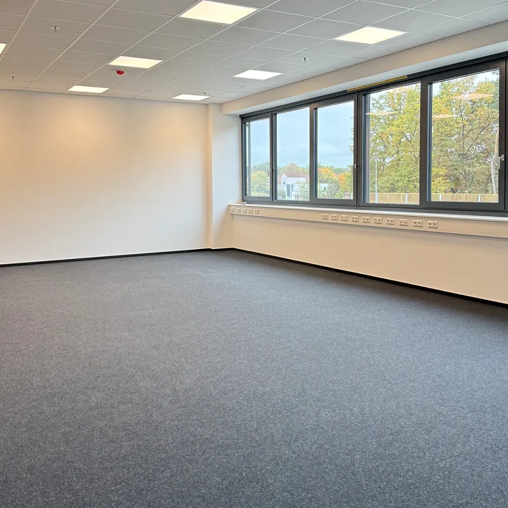 traphan malermeister malerarbeiten paderborn
