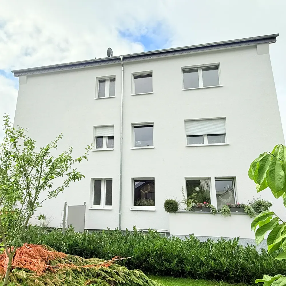 traphan malermeister malerarbeiten paderborn